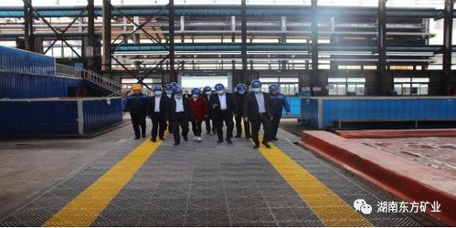 全国电解金属锰创新联盟成员单位参观湖南东方矿业，共探金属矿批发新机遇