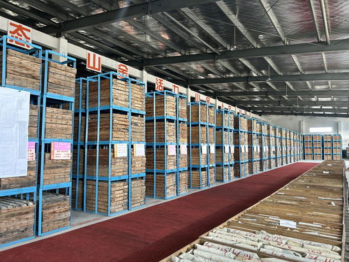 山东黄金探明国内最大单体金矿床，交出高质量发展新答卷